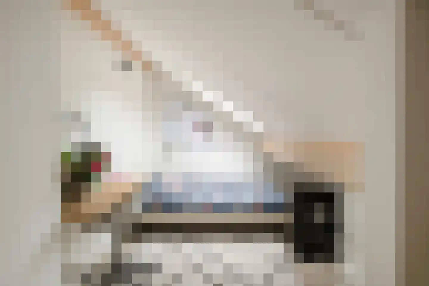 het Swennink 3 Losser thumbnail 29