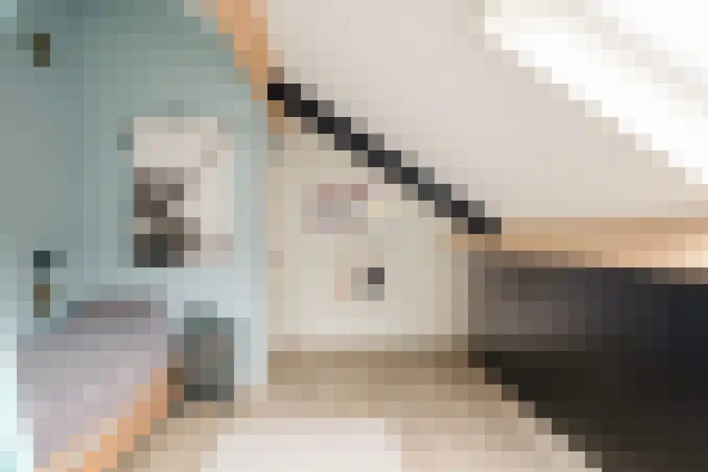 het Swennink 3 Losser thumbnail 30