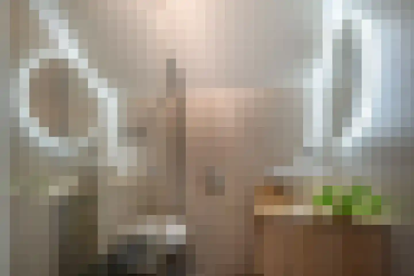 het Swennink 3 Losser thumbnail 32