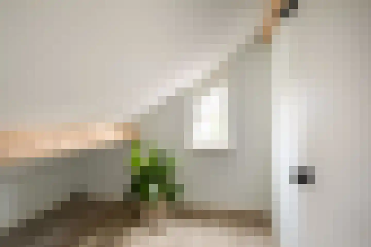 het Swennink 3 Losser thumbnail 34