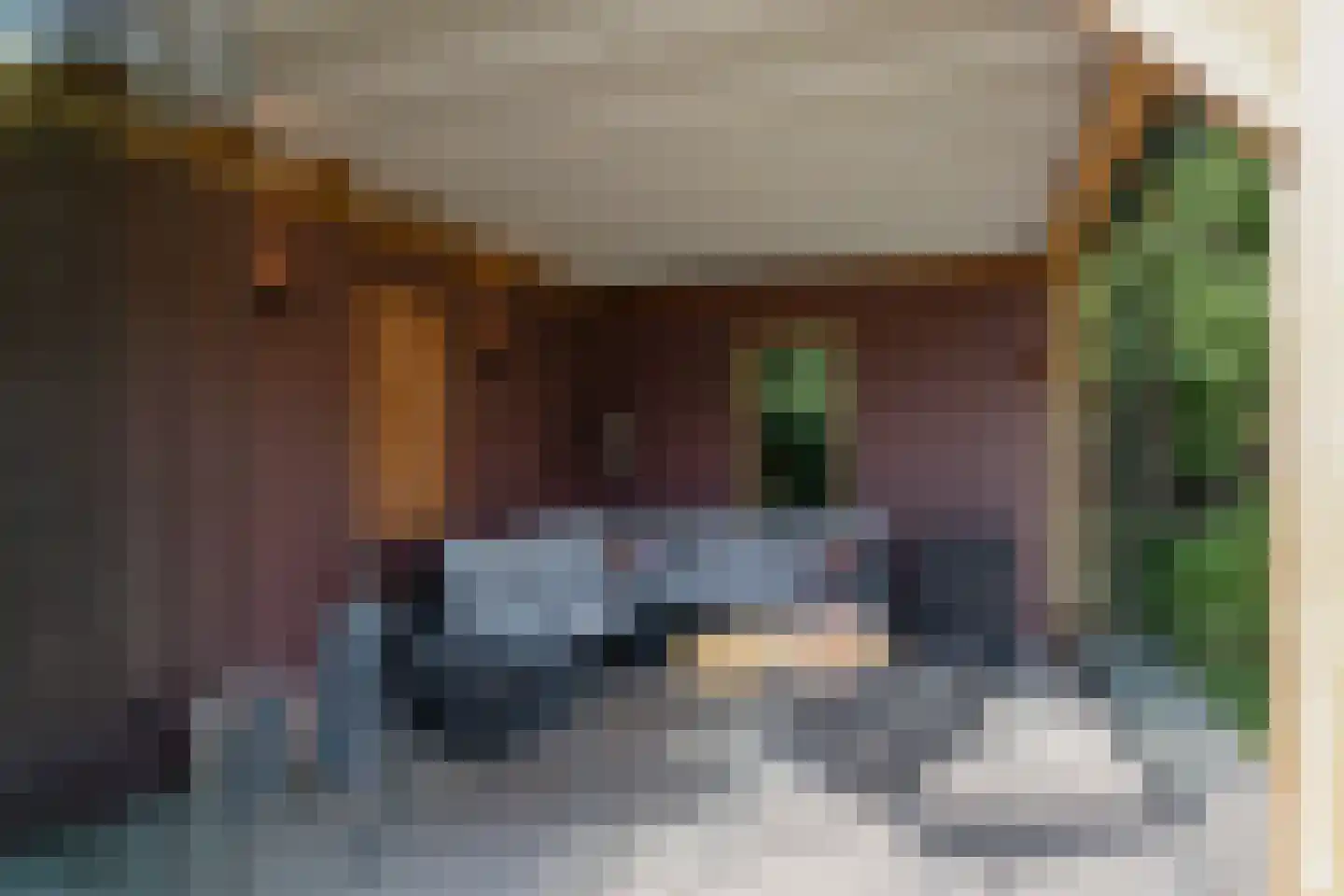het Swennink 3 Losser thumbnail 40