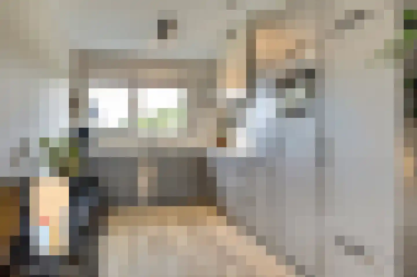 Het Swyn 23 Rockanje thumbnail 12