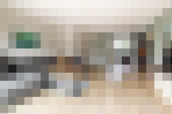 Het Swyn 23 Rockanje thumbnail 13
