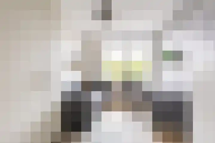 Het Swyn 23 Rockanje thumbnail 20