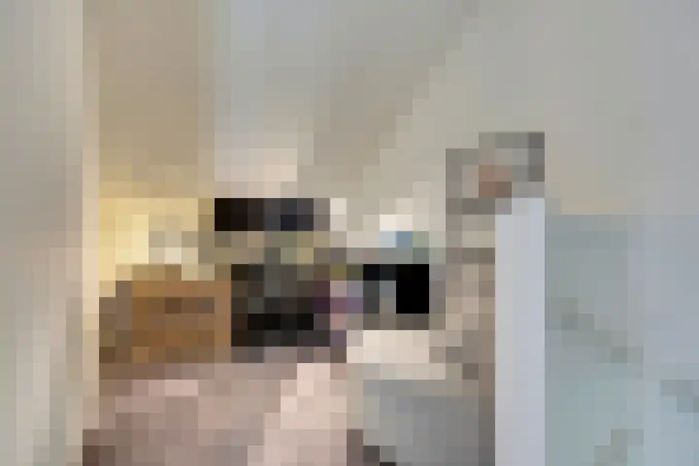 Het Swyn 23 Rockanje thumbnail 23