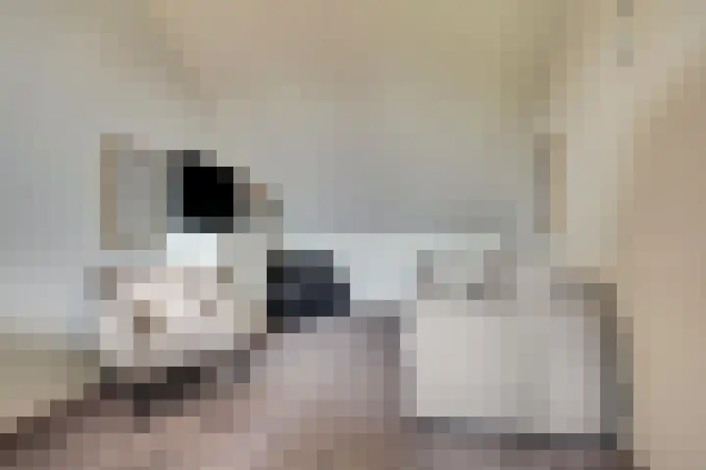 Het Swyn 23 Rockanje thumbnail 24