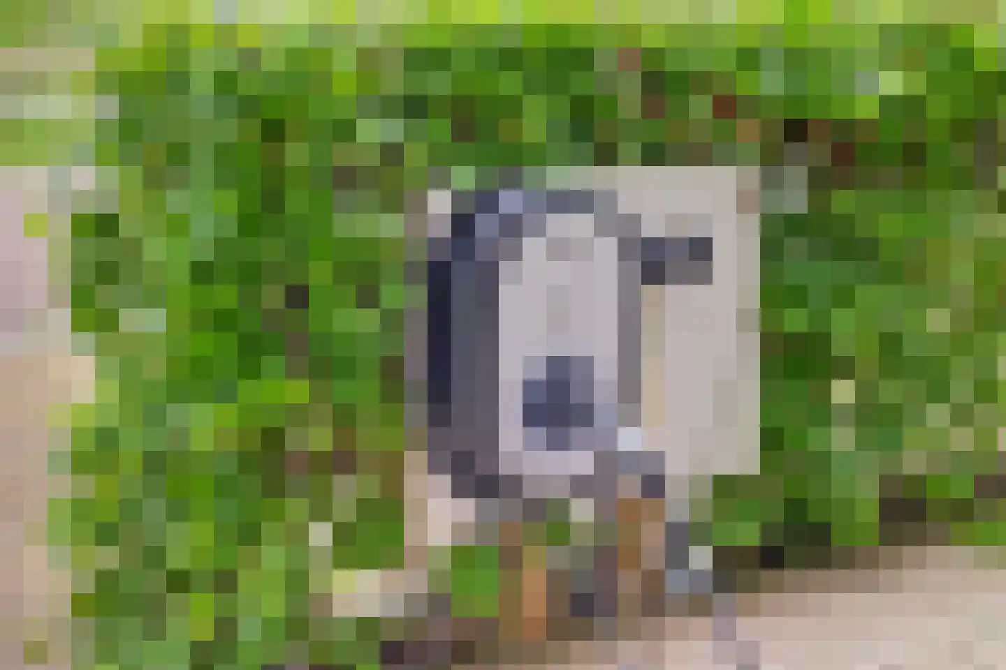 Het Swyn 23 Rockanje thumbnail 30