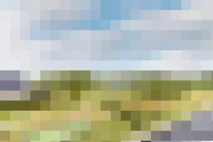 Het Swyn 23 Rockanje thumbnail 33