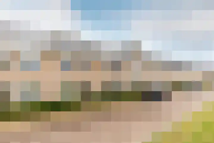 Het Swyn 23 Rockanje thumbnail 6