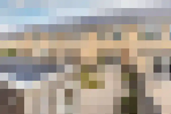 Het Swyn 23 Rockanje thumbnail 7