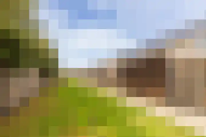 Het Swyn 23 Rockanje thumbnail 8
