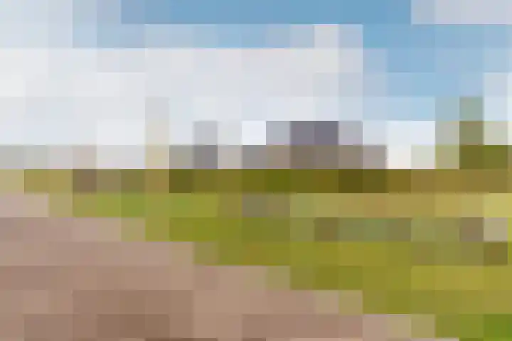 Het Swyn 23 Rockanje thumbnail 9