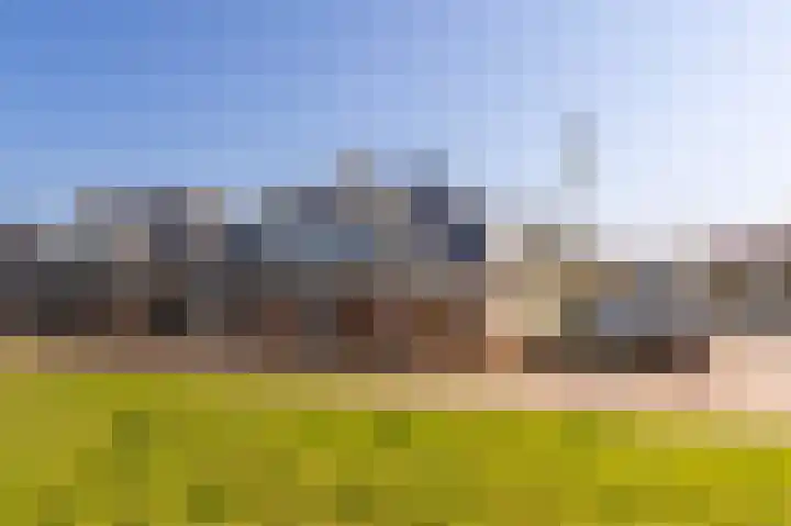 Het Swyn 29 Rockanje