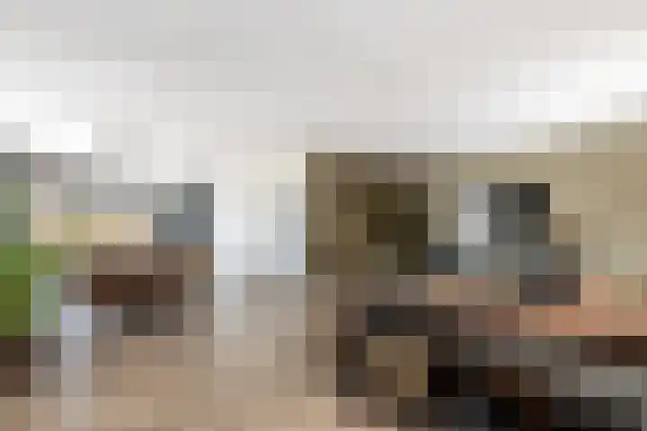 Het Swyn 29 Rockanje thumbnail 14