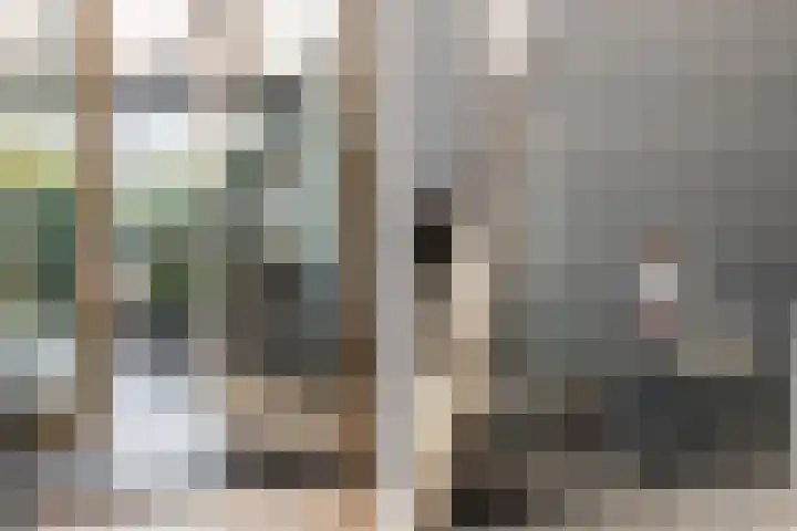 Het Swyn 29 Rockanje thumbnail 17