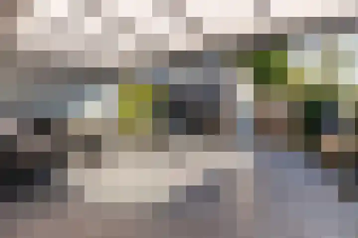 Het Swyn 29 Rockanje thumbnail 18