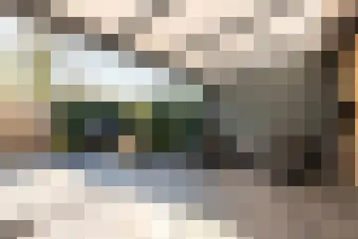 Het Swyn 29 Rockanje thumbnail 19