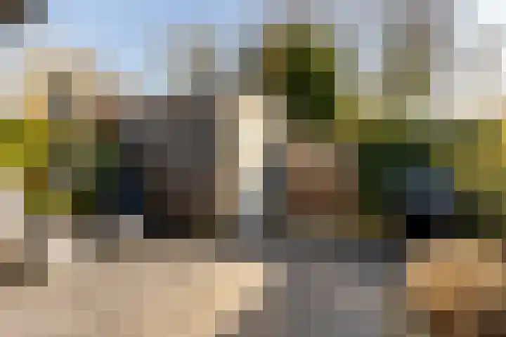 Het Swyn 29 Rockanje thumbnail 20