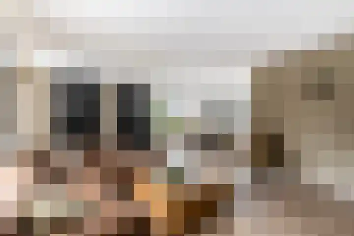 Het Swyn 29 Rockanje thumbnail 21