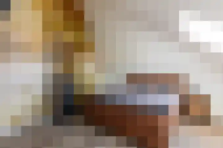 Het Swyn 29 Rockanje thumbnail 25