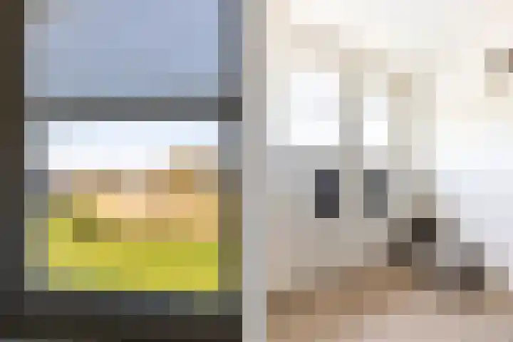 Het Swyn 29 Rockanje thumbnail 27
