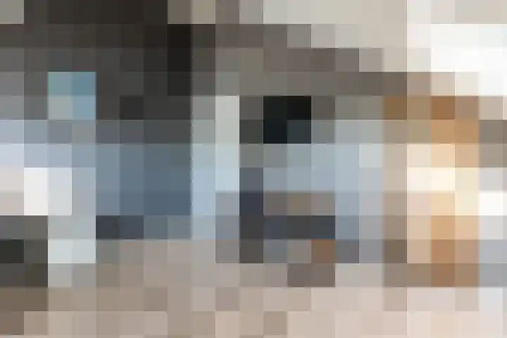 Het Swyn 29 Rockanje thumbnail 29