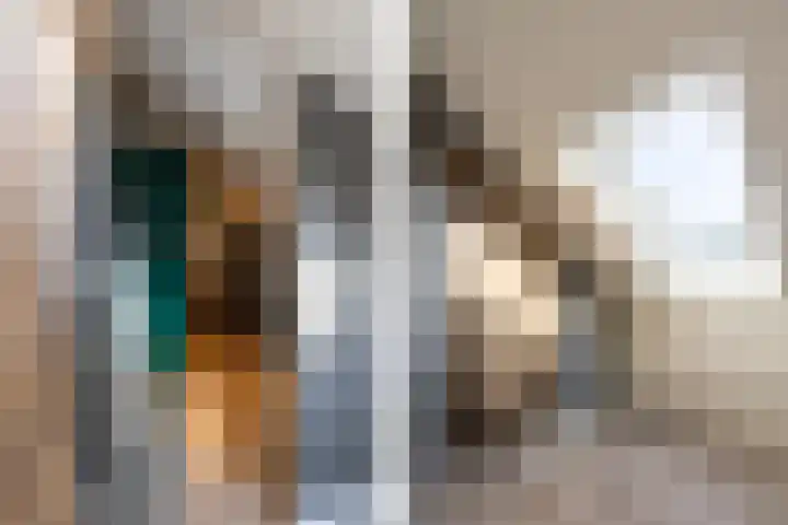 Het Swyn 29 Rockanje thumbnail 30