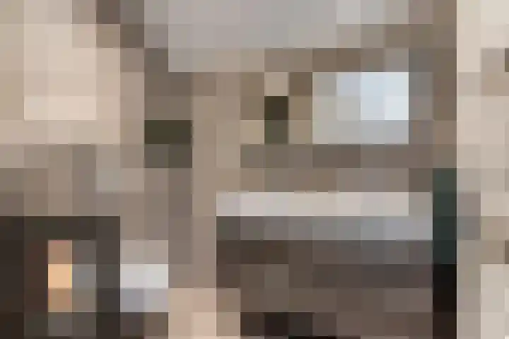 Het Swyn 29 Rockanje thumbnail 31