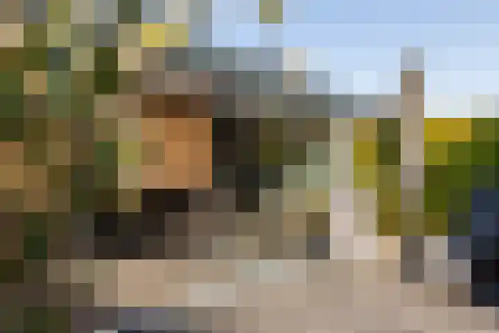 Het Swyn 29 Rockanje thumbnail 34