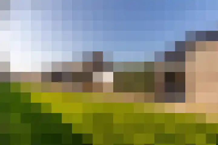 Het Swyn 29 Rockanje thumbnail 35