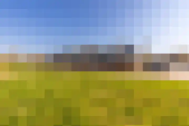 Het Swyn 29 Rockanje thumbnail 36