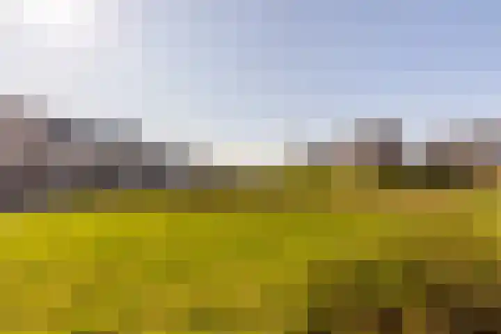 Het Swyn 29 Rockanje thumbnail 37