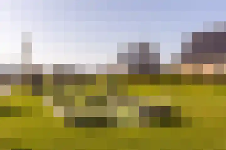 Het Swyn 29 Rockanje thumbnail 38