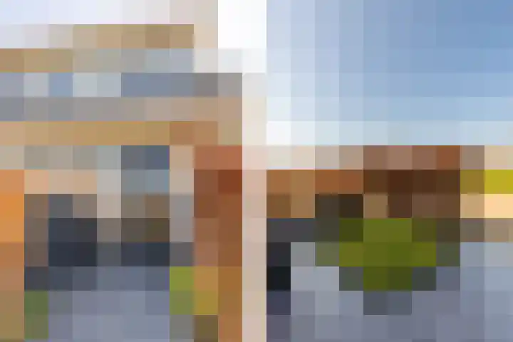 Het Swyn 29 Rockanje thumbnail 5