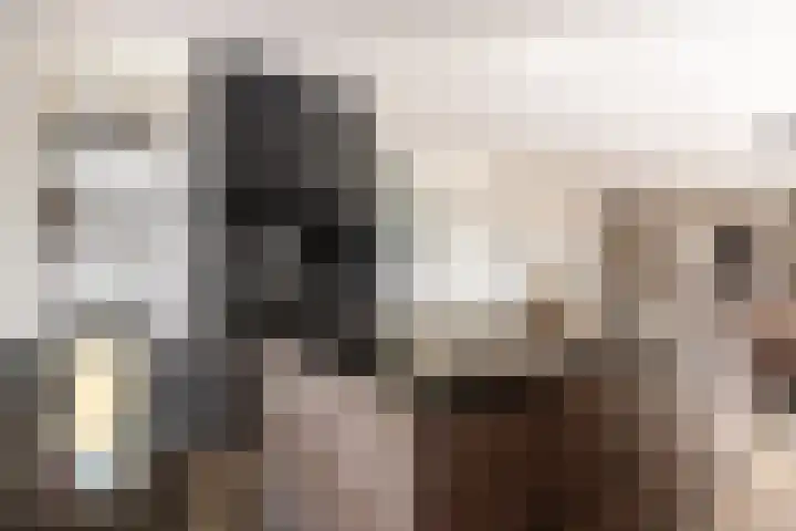 Het Swyn 29 Rockanje thumbnail 7