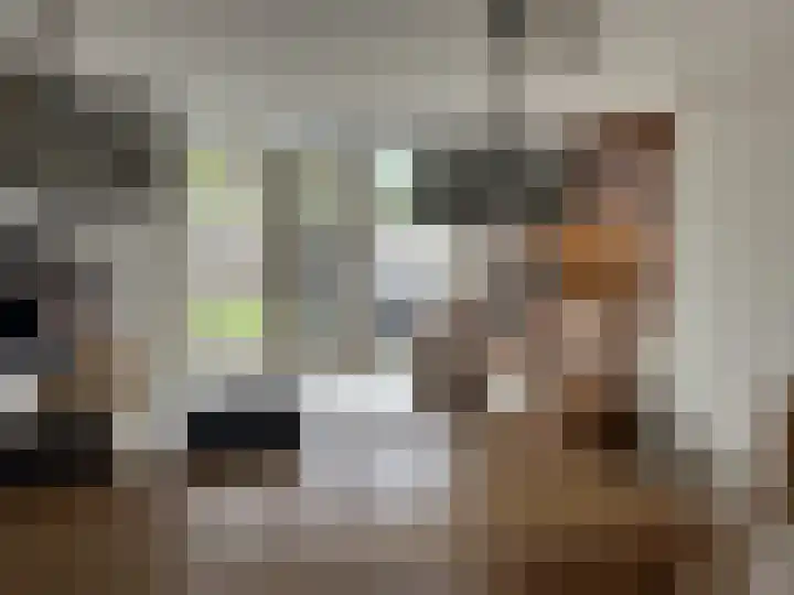 Het Swyn 7 Rockanje thumbnail 13