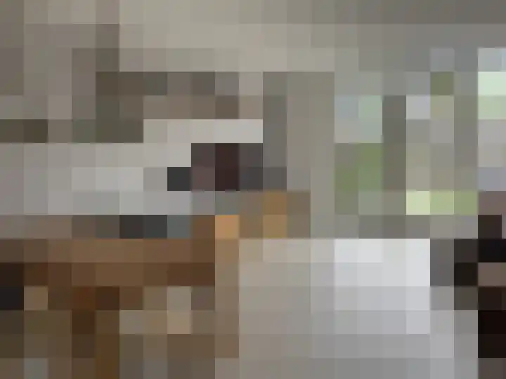 Het Swyn 7 Rockanje thumbnail 14