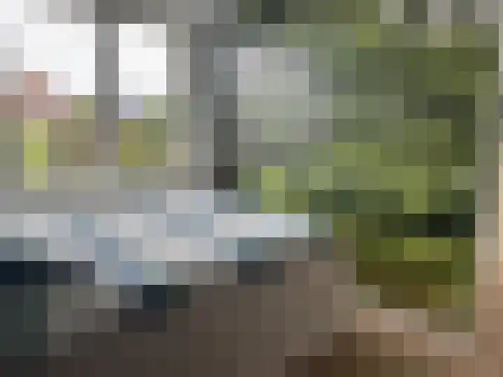 Het Swyn 7 Rockanje thumbnail 16
