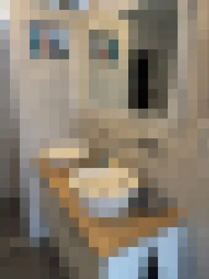 Het Swyn 7 Rockanje thumbnail 24