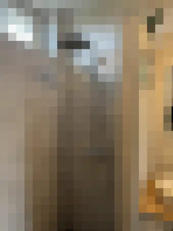 Het Swyn 7 Rockanje thumbnail 26
