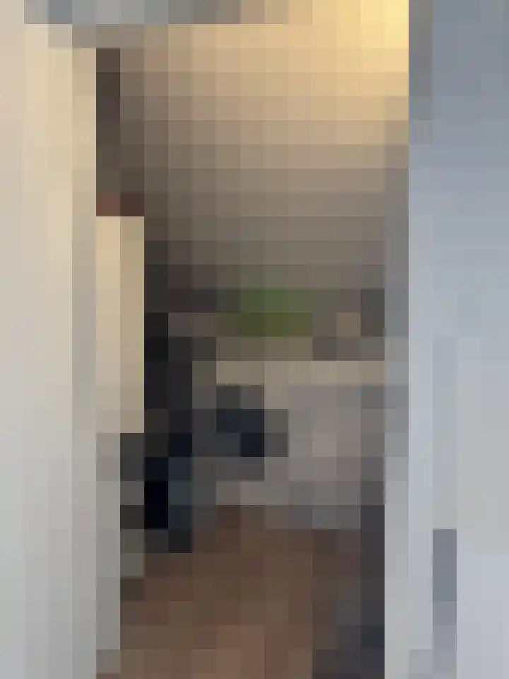 Het Swyn 7 Rockanje thumbnail 31