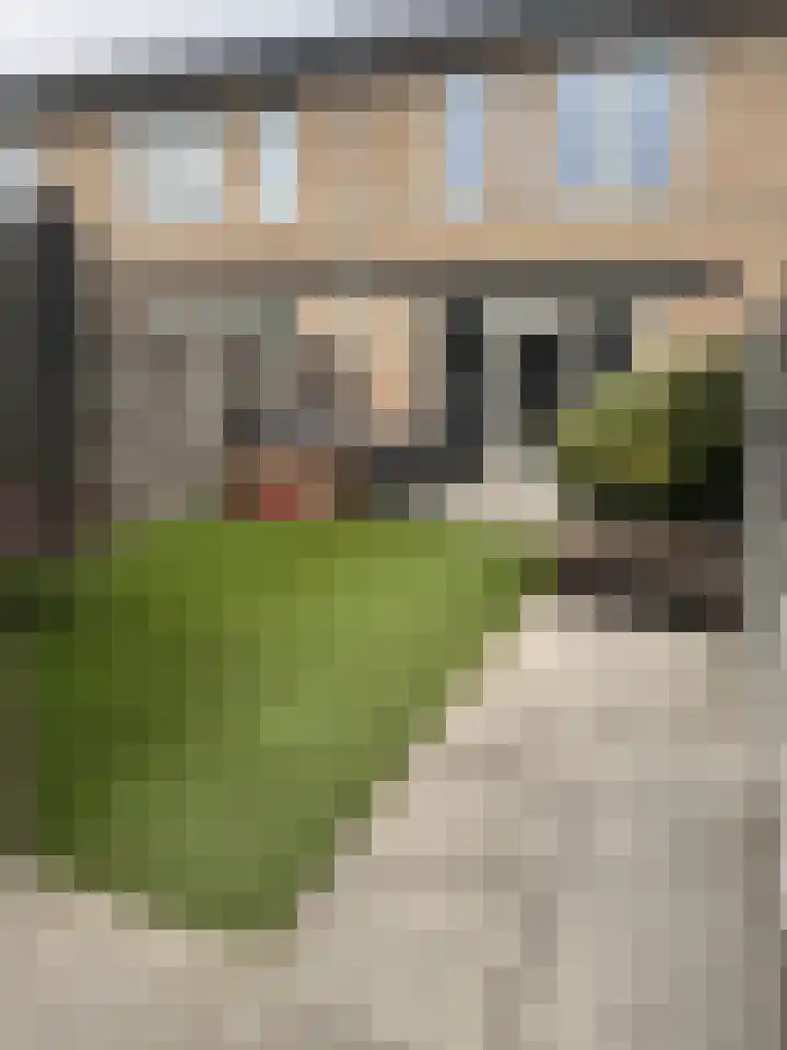 Het Swyn 7 Rockanje thumbnail 32