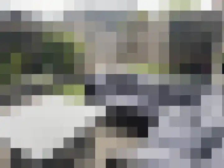 Het Swyn 7 Rockanje thumbnail 33