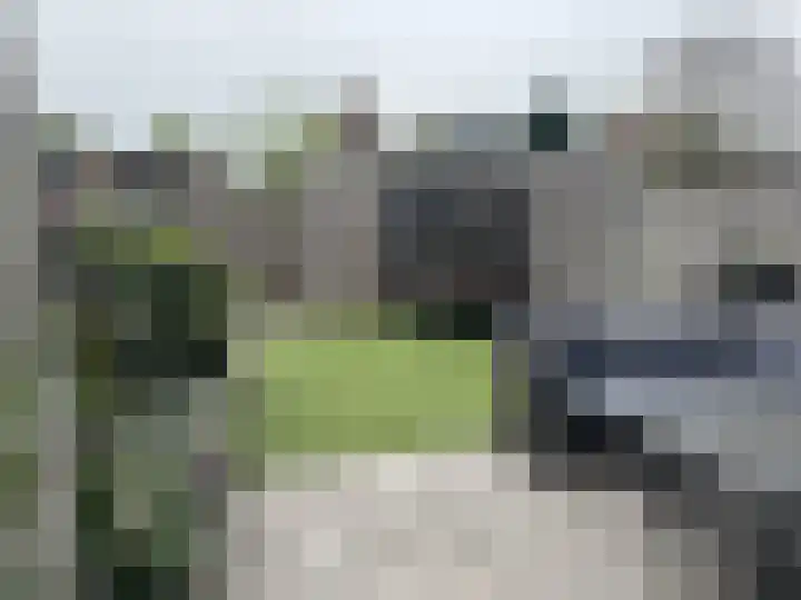 Het Swyn 7 Rockanje thumbnail 34