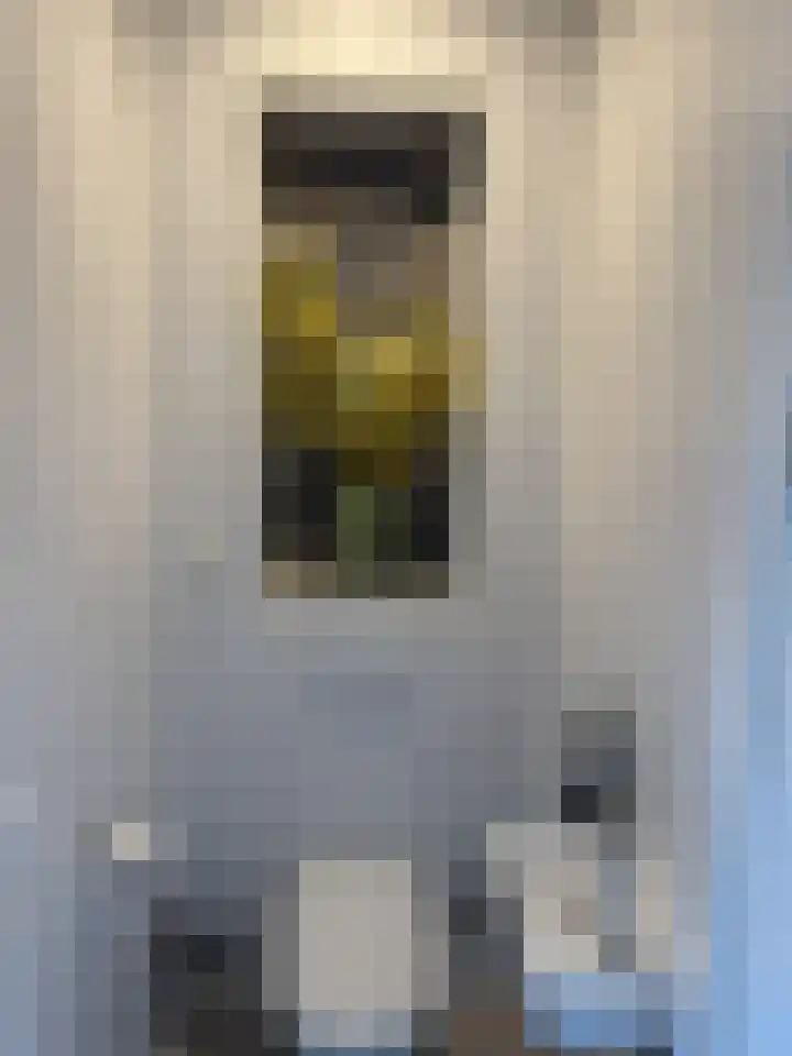 Het Swyn 7 Rockanje thumbnail 5