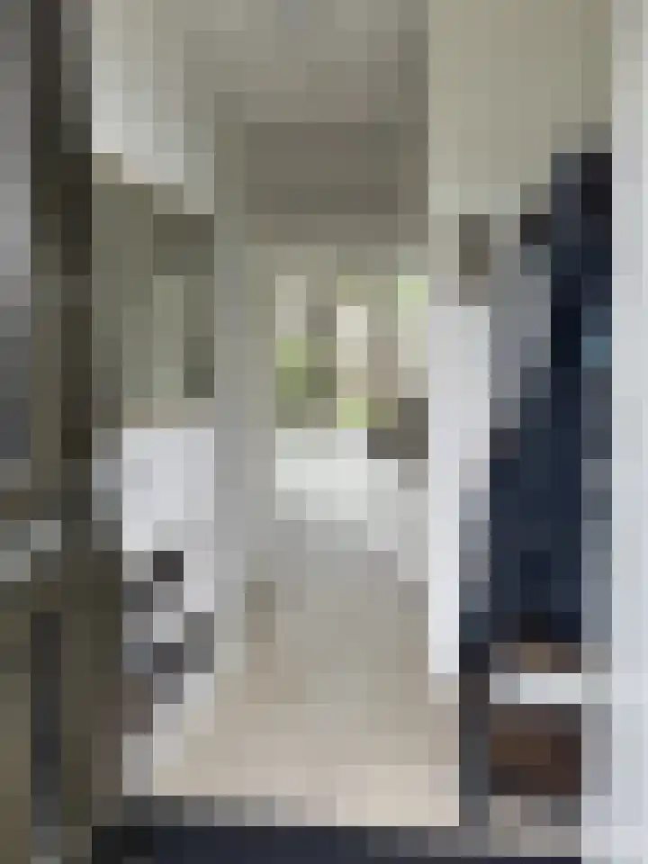 Het Swyn 7 Rockanje thumbnail 6