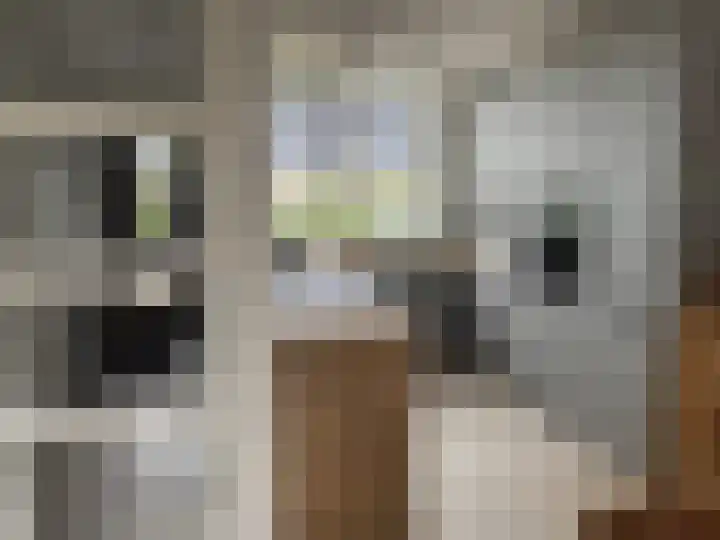 Het Swyn 7 Rockanje thumbnail 7