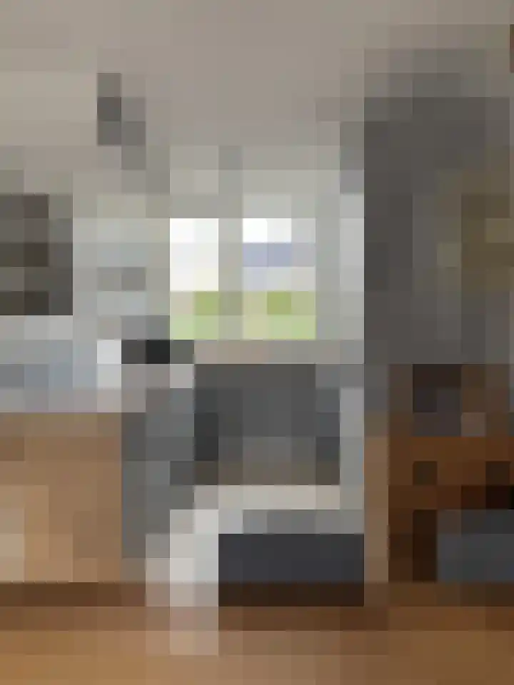 Het Swyn 7 Rockanje thumbnail 8