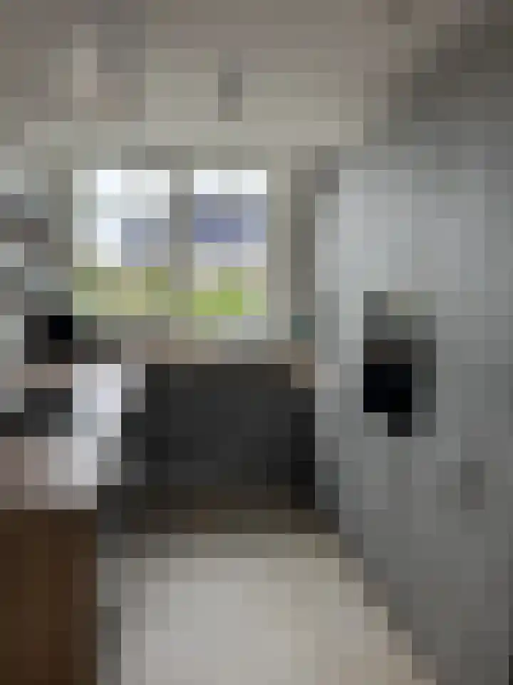 Het Swyn 7 Rockanje thumbnail 9