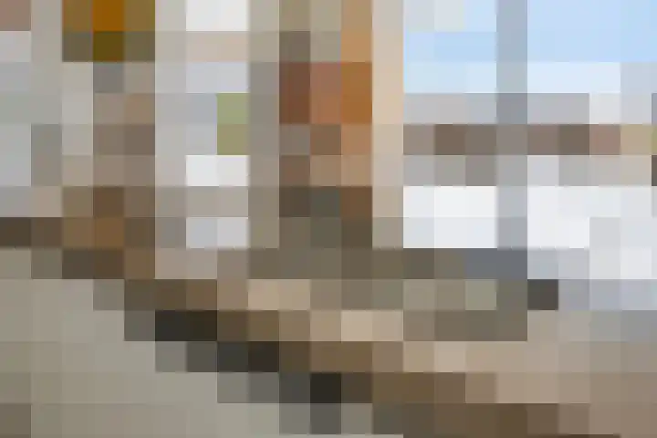 Het Tolhuys 22 Veldhoven thumbnail 10